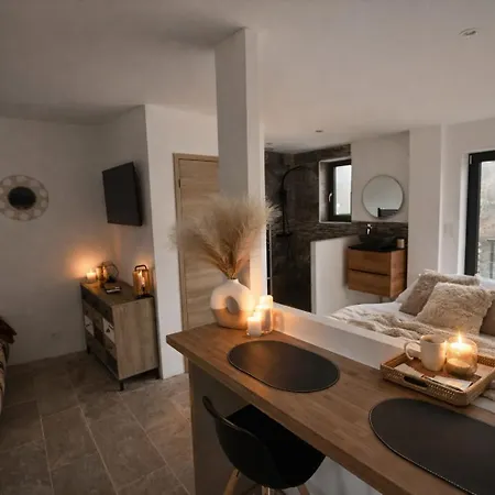 Studio Avec Spa Vue Moselle